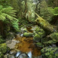 New Zealand; Landscape photography